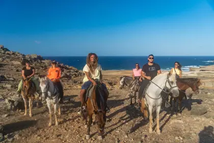 /Aruba_horse_Tours-01.jpg